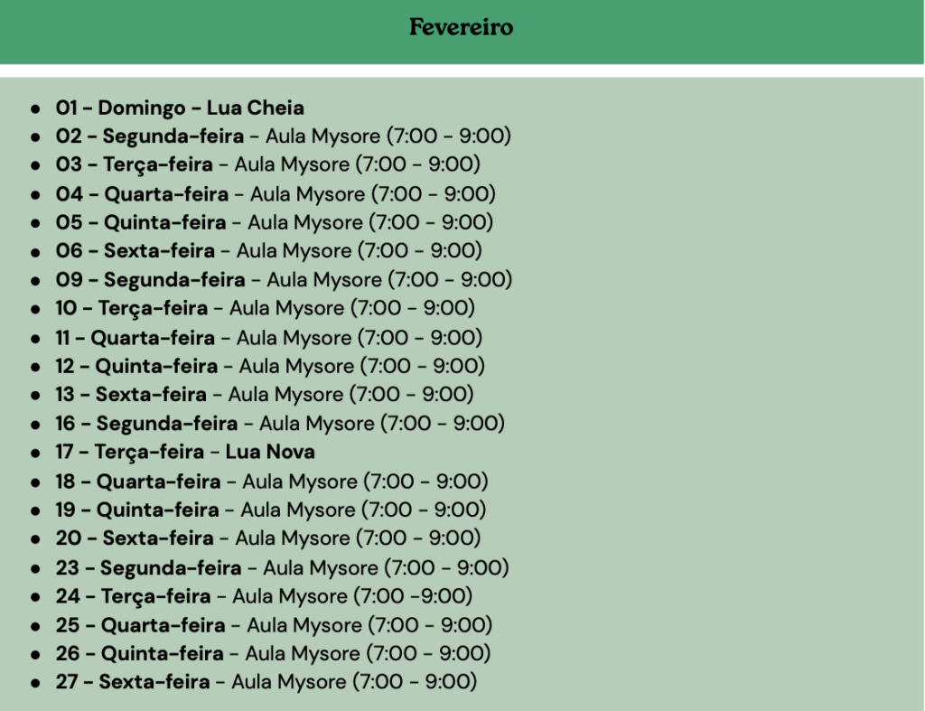 Screenshot 2026-02-11 at 13.06.31