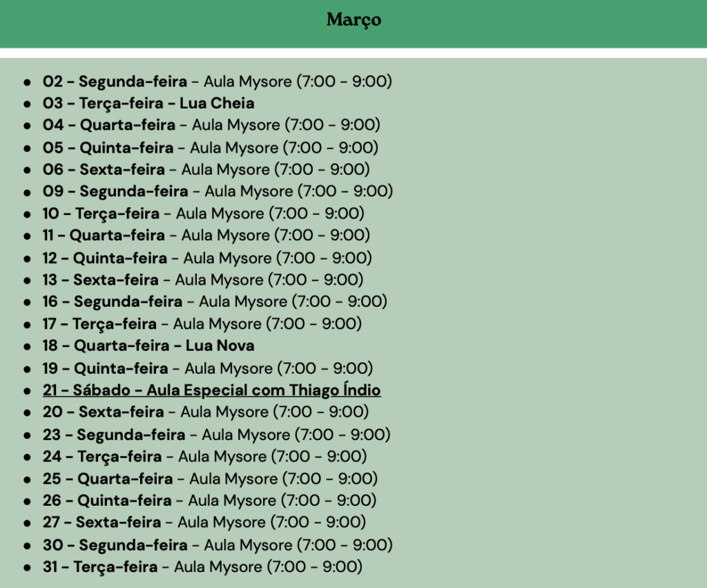 Screenshot 2026-02-11 at 13.06.41